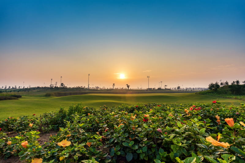 Sân golf FLC Sầm Sơn là địa điểm giải trí và nghỉ dưỡng lý tưởng