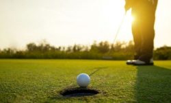 Thuật ngữ Birdie golf và Par trong golf là gì