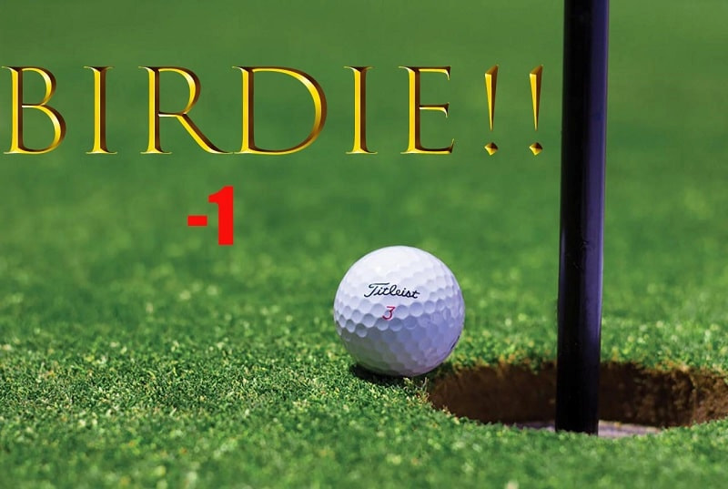 Birdie dùng để chỉ cách tính điểm khi golfer hoàn thành hố golf với số gậy ít hơn so với tiêu chuẩn