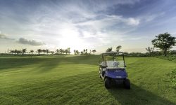Học Đánh Golf Ở Hải Phòng: Top 5 Địa Chỉ Và Tiêu Chí Lựa Chọn 