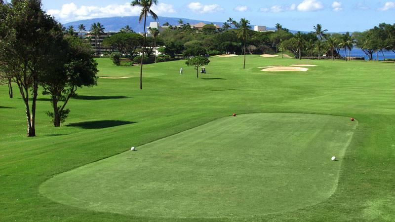 Tìm hiểu tee box là gì?